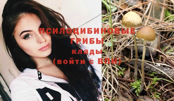 кокаин премиум Няндома