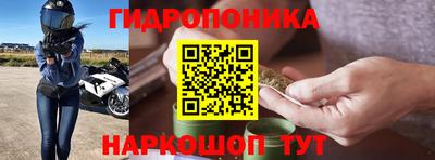 стаф Чебоксары