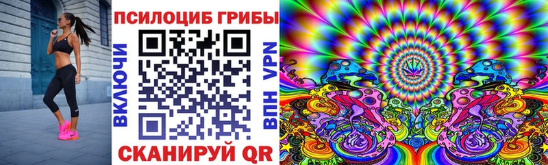 mega рабочий сайт  Тверь  Псилоцибиновые грибы Psilocybine cubensis  как найти закладки 