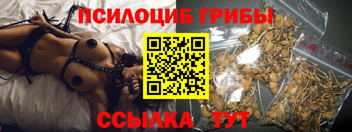 Галлюциногенные грибы Cubensis Тверь
